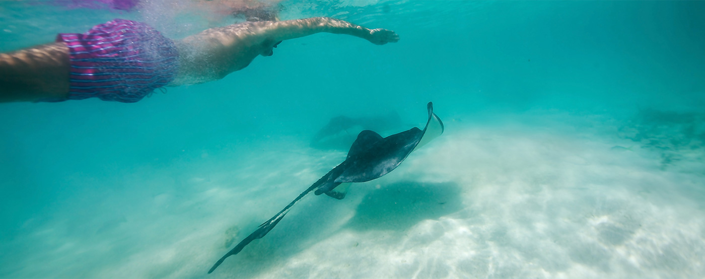 Cayman Island Tours Island Routes