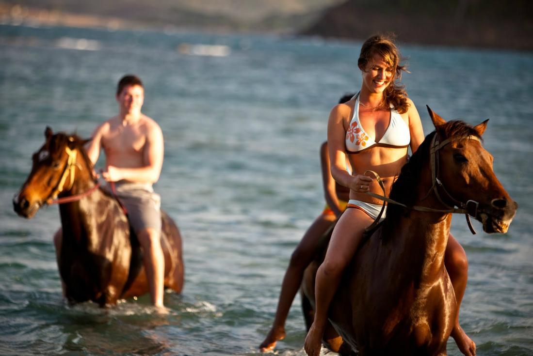 Honeymoon Horseback Beach Ride horseback riding in jamaica