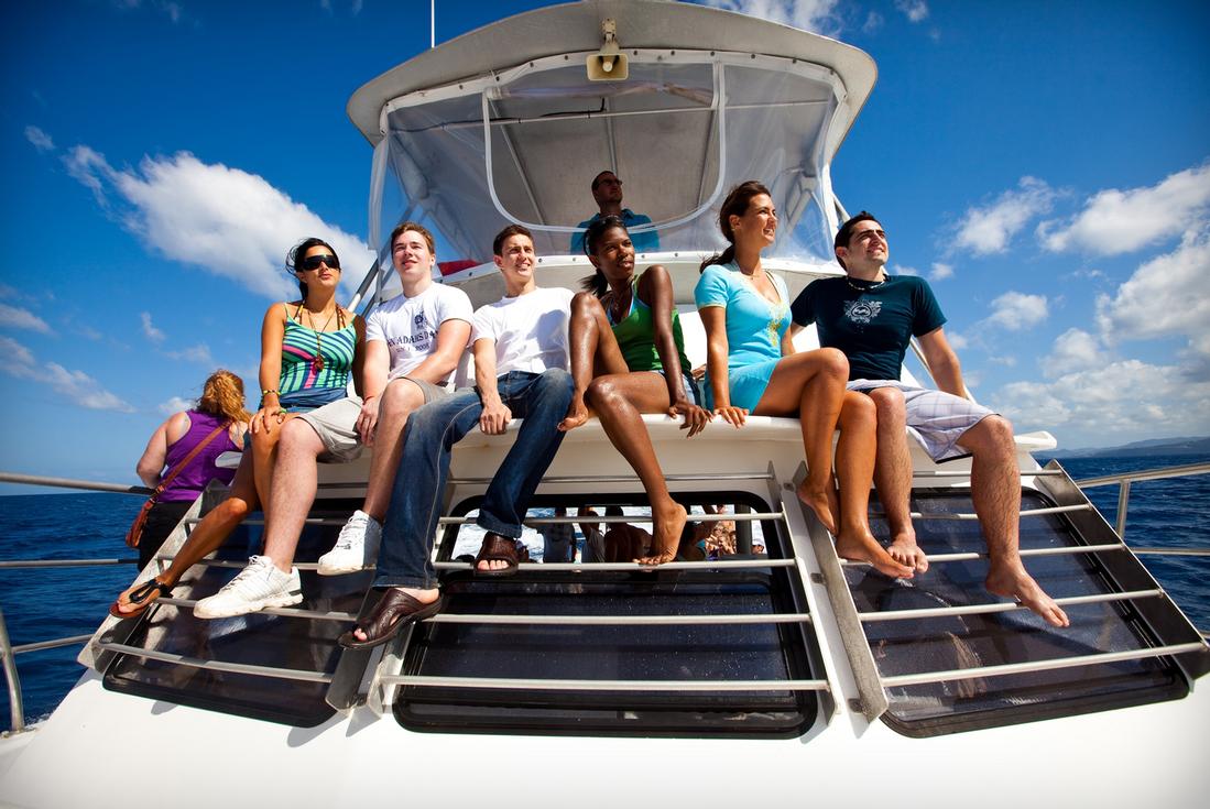 Dolphin and Whale Watching half day Whale Watching St.Lucia