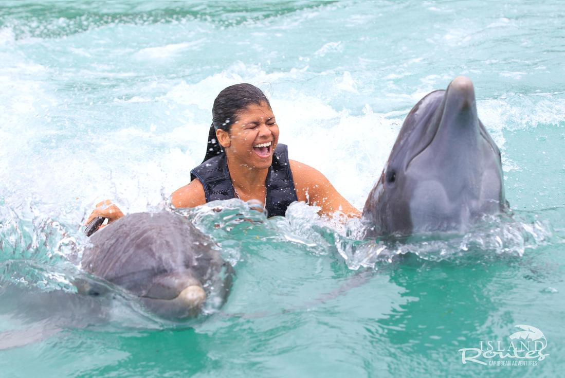 swim with the dolphins in jamaica