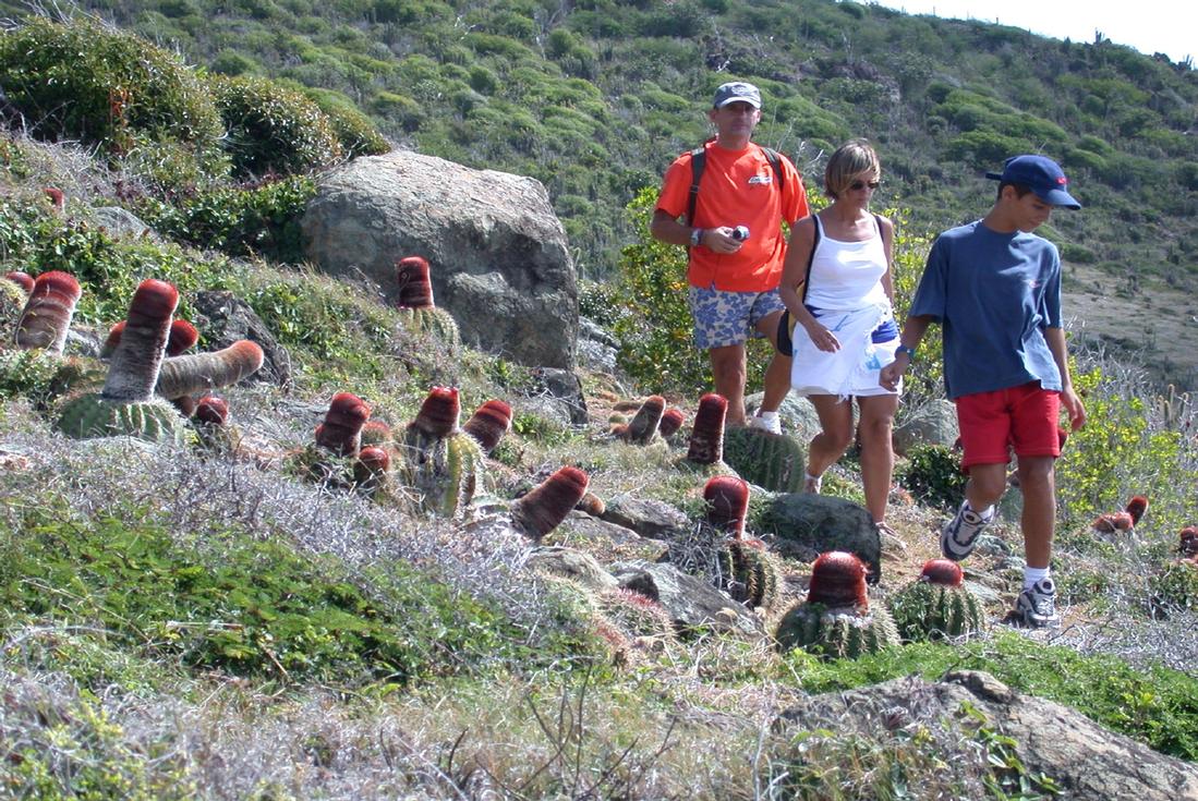 Guana Bay Hike things to do in st. maarten
