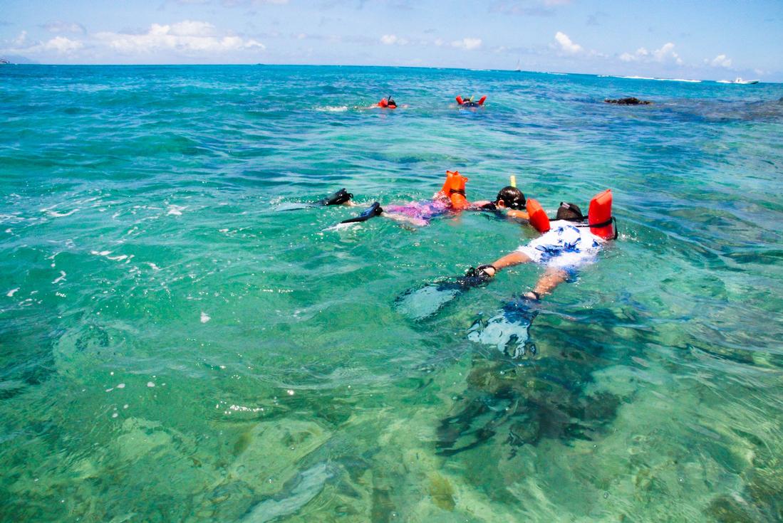 Kayak Snorkel Tour snorkeling in st. maarten