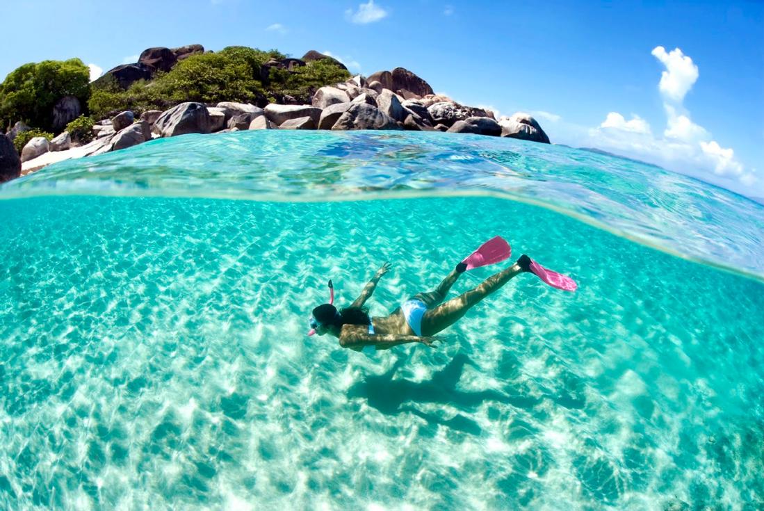 Snorkeling In Barbados Island Routes