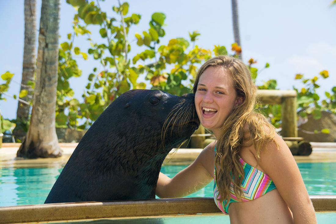 Punta Cana Sea Life and Snorkeling Excursion snorkeling in punta cana