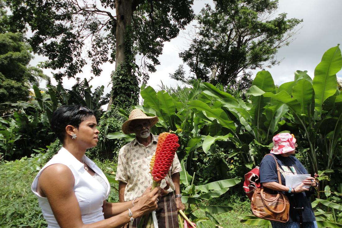 Grenada Tropical Gardens Tour Grenada Tropical Gardens Tour