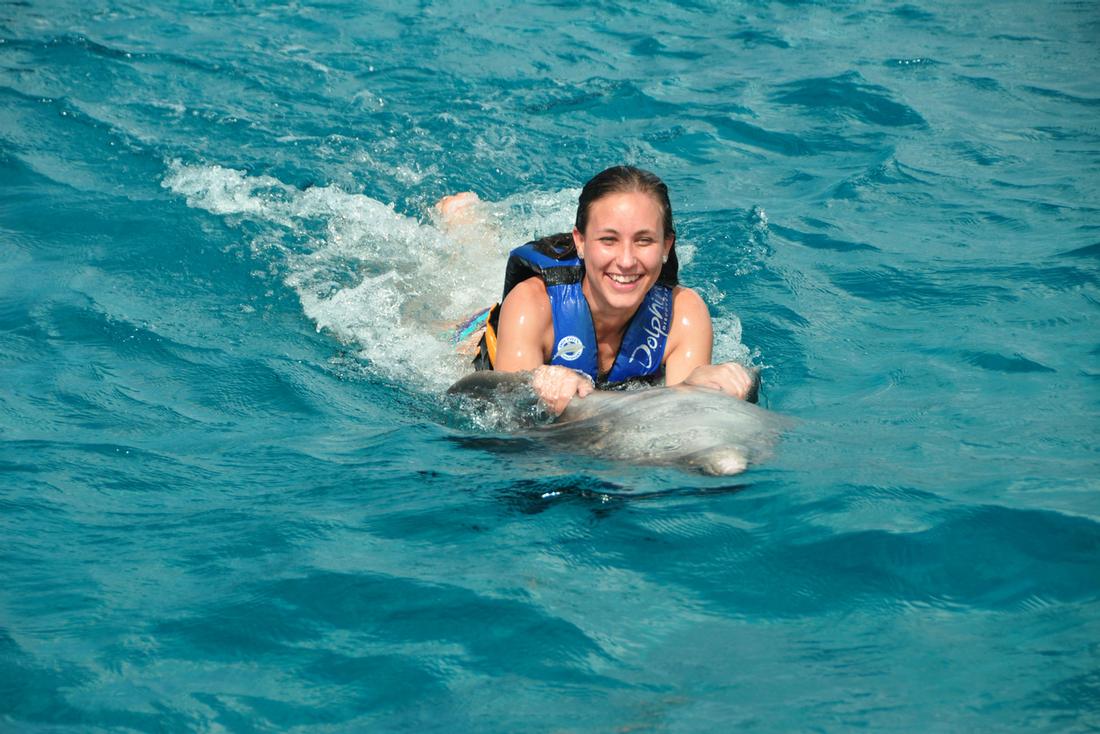 Grand Cayman Dolphin Swim Dolphin Swim Cayman Islands
