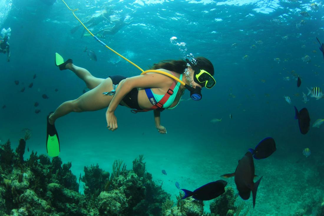 Snuba Experience Barbados