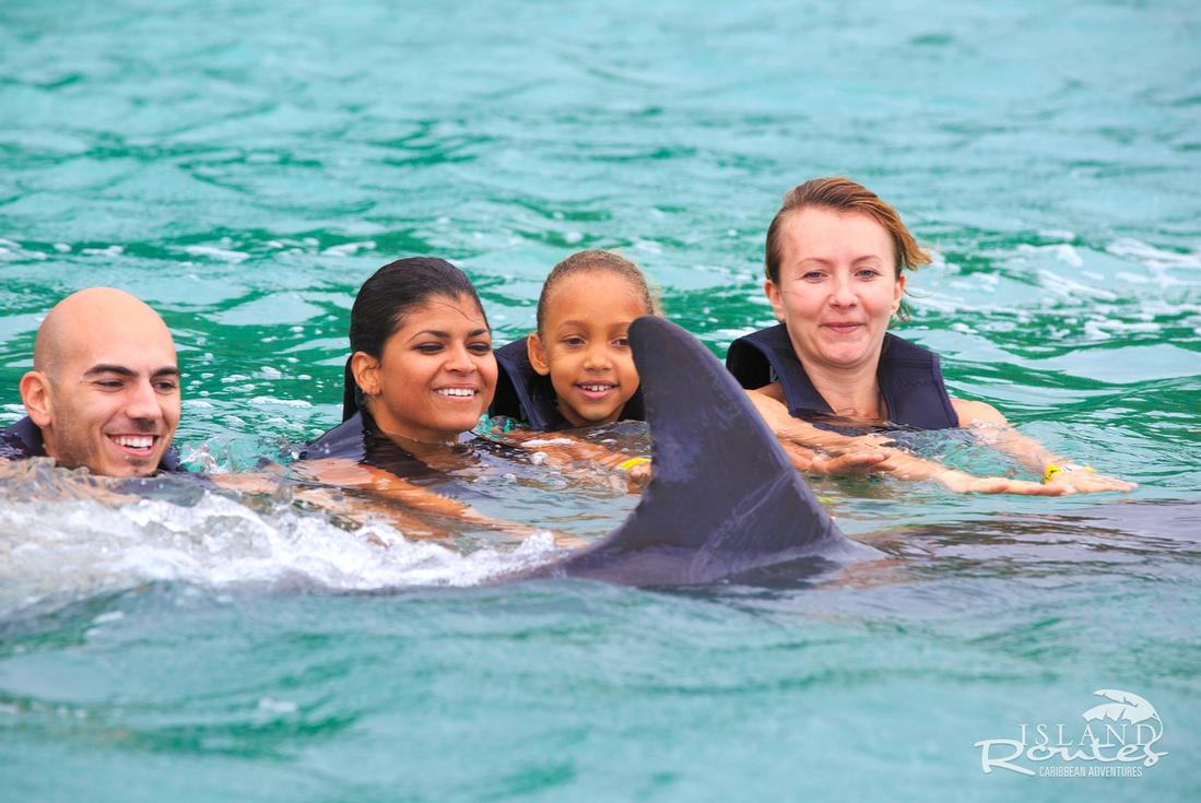 Dolphin Swim in Ocho Rios jamaica dolphin swim